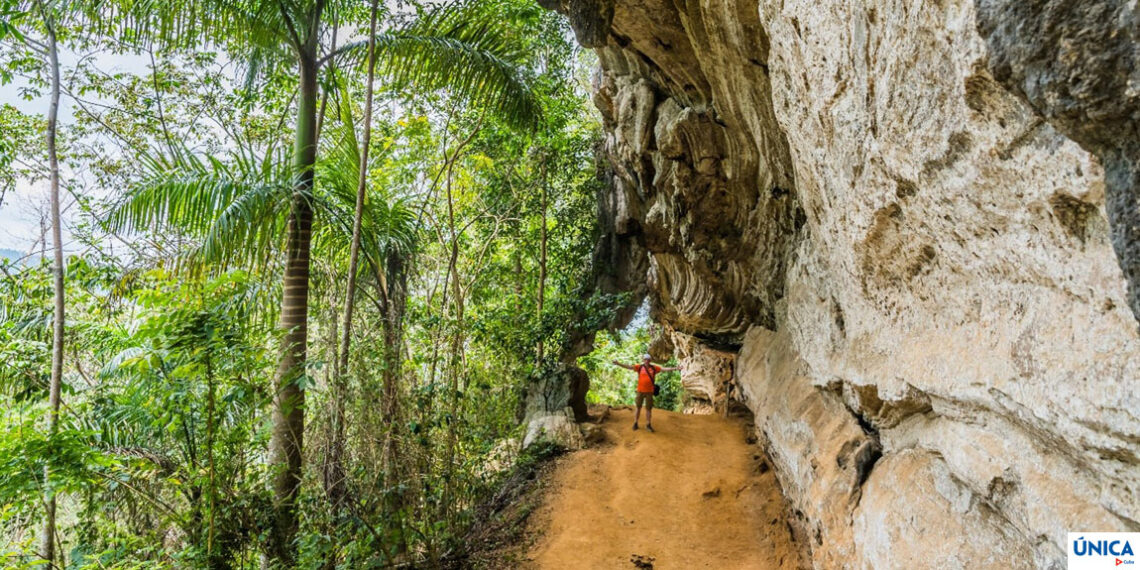 Topes de Collantes National Park in Cuba