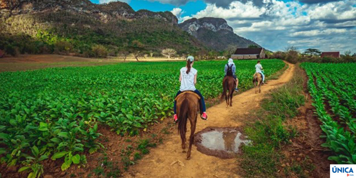 must do activities in Viñales