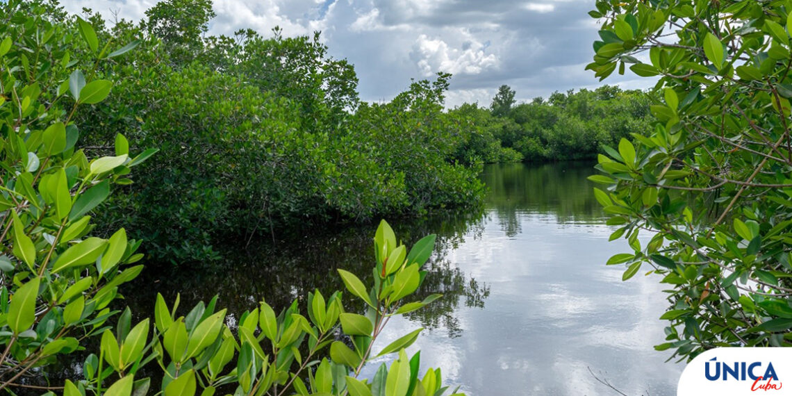 Varahicacos Ecological Reserve