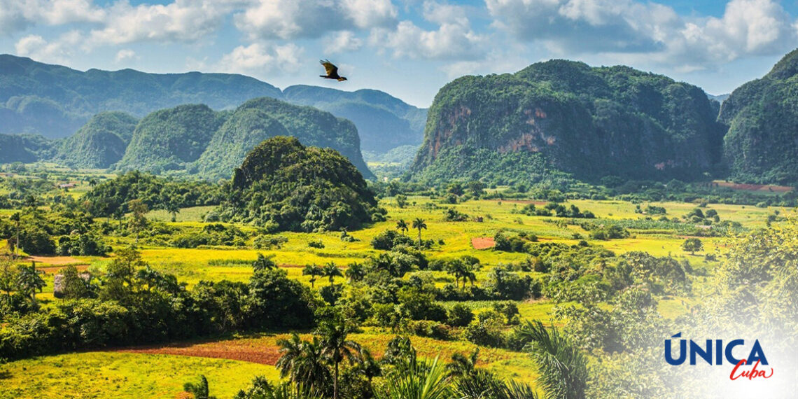 cuba countryside